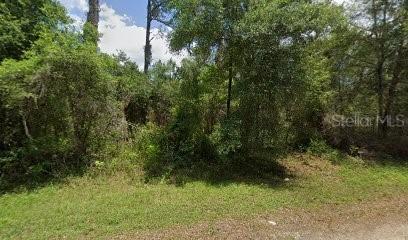 9437 N Agar Ter., Dunnellon, FL 34434