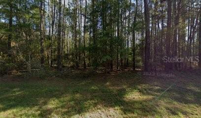 9261 N Athenia Dr., Citrus Springs, FL 34434