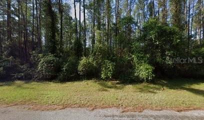 9244 N Athenia Dr., Citrus Springs, FL 34434