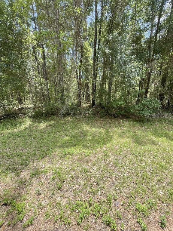 9238 N Athenia Dr., Citrus Springs, FL 34434