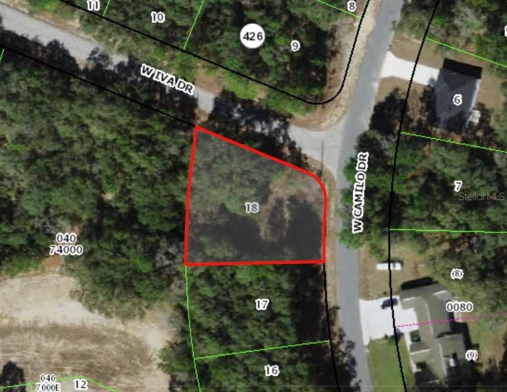 2939 W Camilo Dr., Citrus Springs, FL 34434