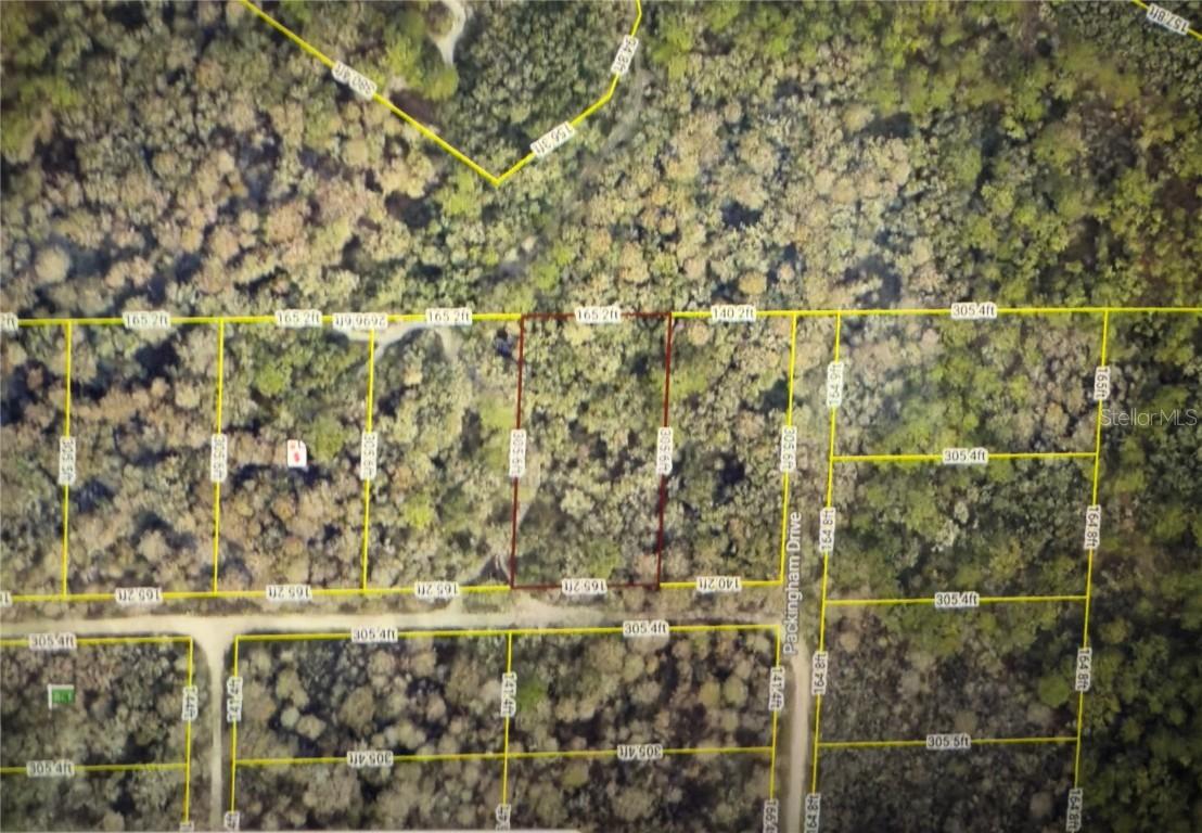 Rose Bloom Ave., Webster, FL 33597