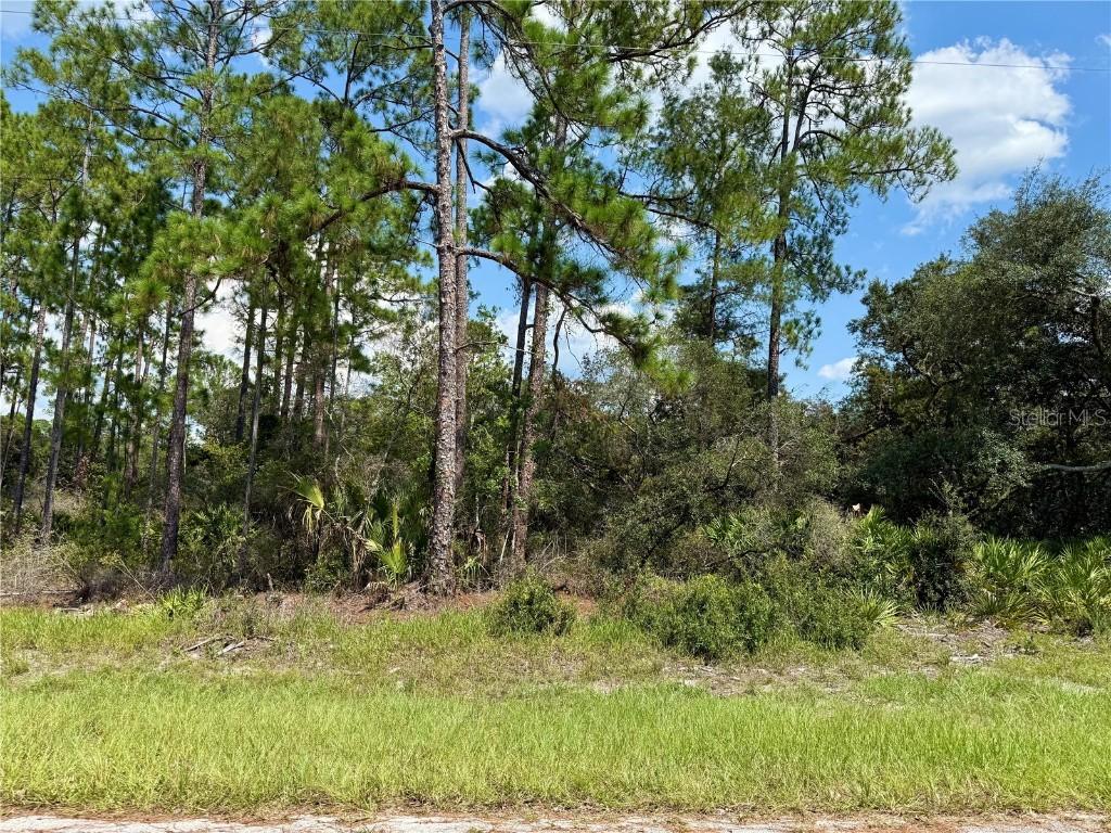 LOT 20 Balsam St., Eustis, FL 32736