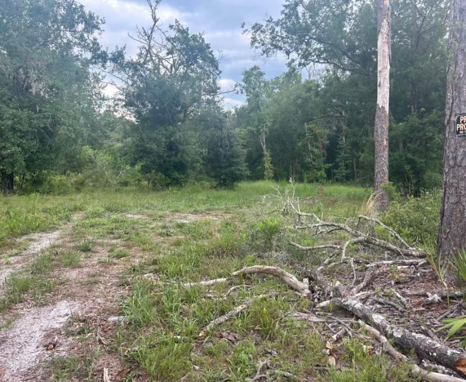 00 SW 158th Ln., Dunnellon, FL 34432