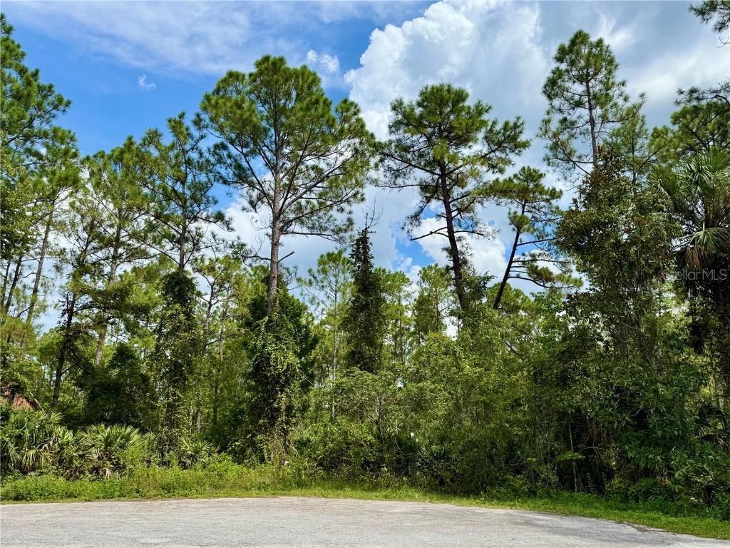 LOT 3 Tamarac St., Eustis, FL 32736