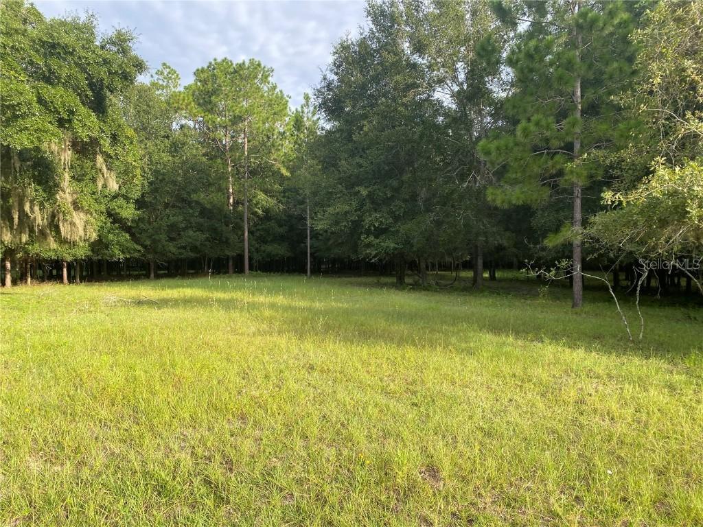 Cr 466, Oxford, FL 34484