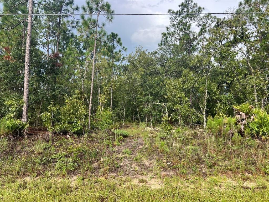 7180 N Henderson Way, Dunnellon, FL 34434