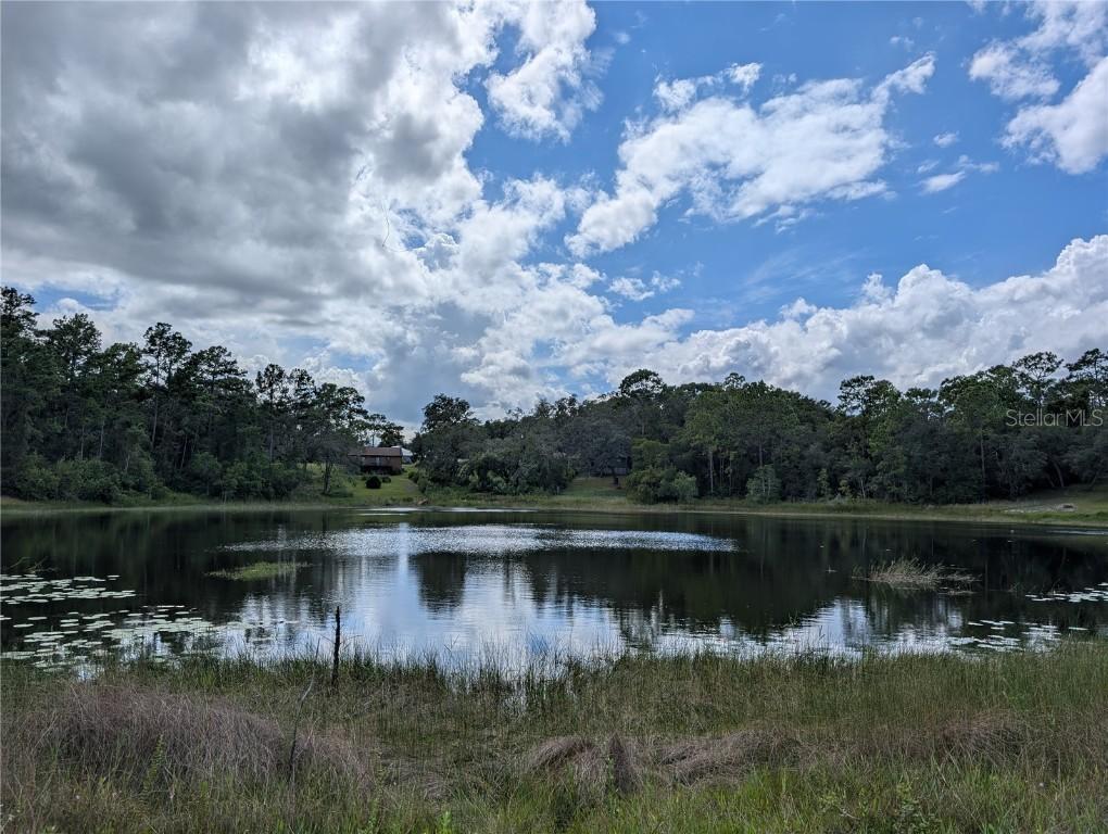 5387 SE 168th Ave., Ocklawaha, FL 32179