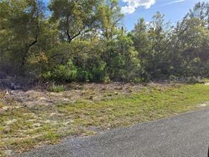Cr 245c, Oxford, FL 34484
