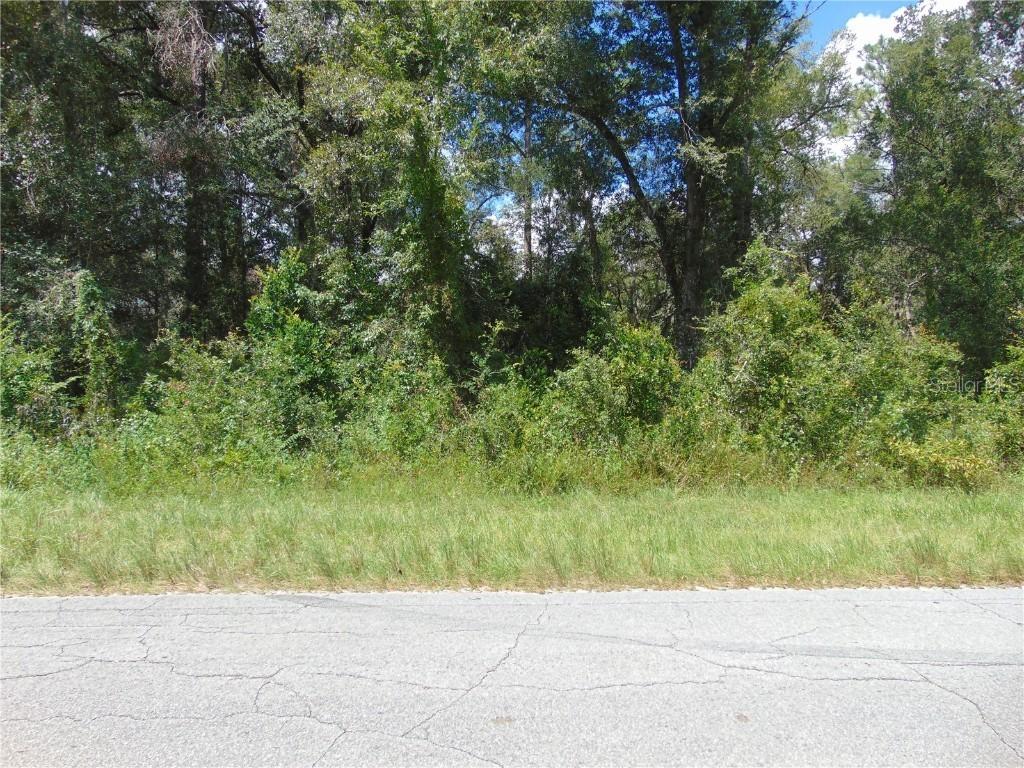 4766 SW 125th Rd., Webster, FL 33597