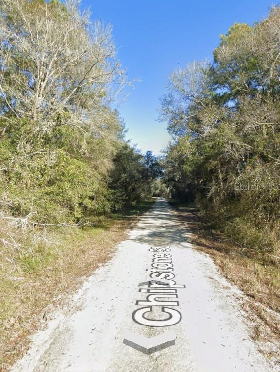 Chipstone St., Webster, FL 33597