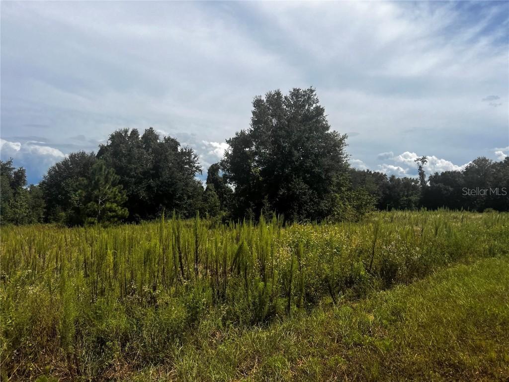 Sugarloaf Mountain Rd, Clermont, FL 34711