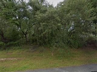16593 SW 31st Circles, Ocala, FL 34473