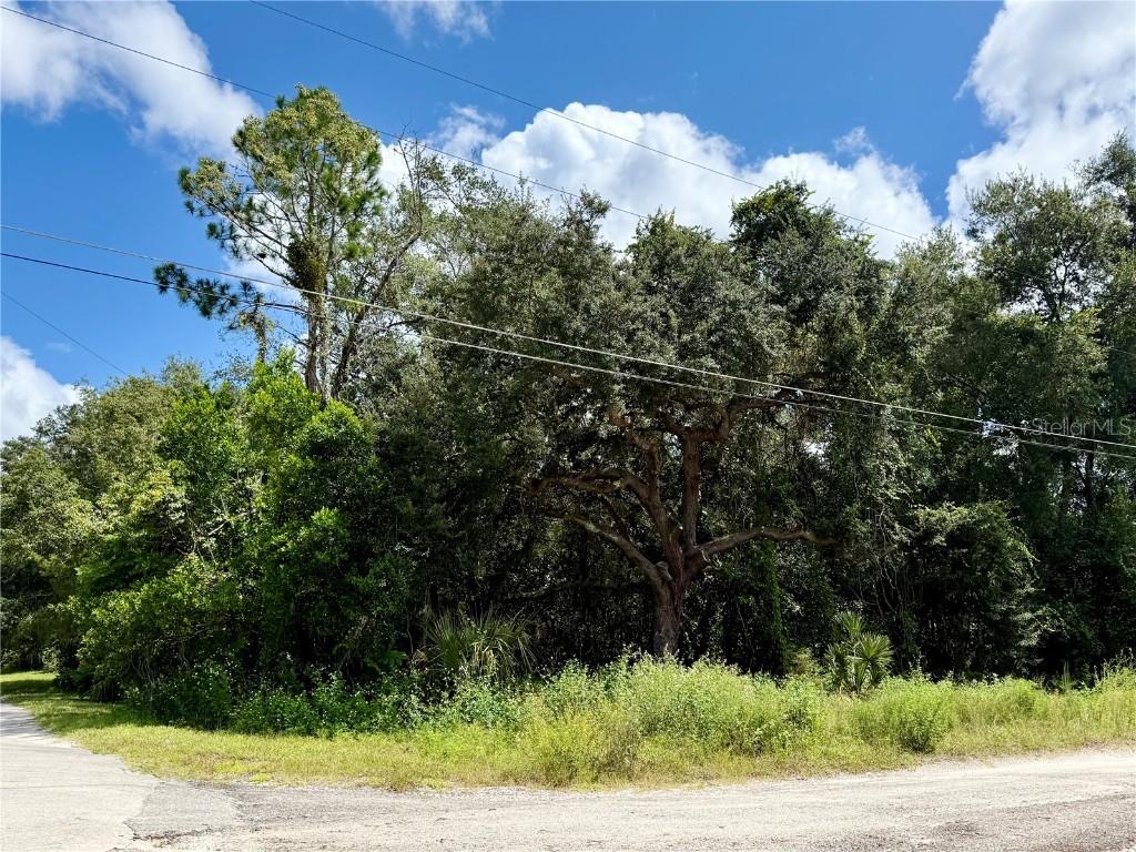 LOT 1 Palm Dr., Eustis, FL 32736