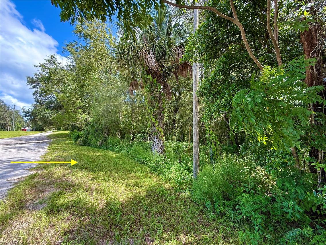 LOT 1 Palm Dr., Eustis, FL 32736