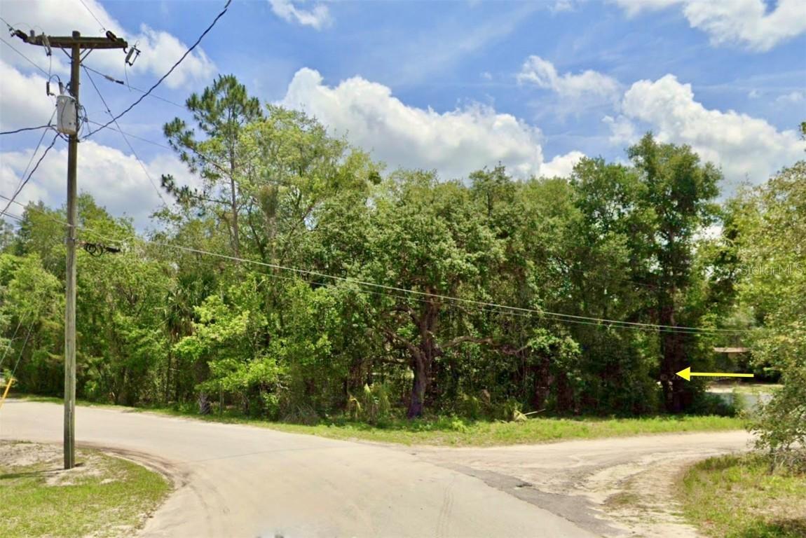 LOT 1 Palm Dr., Eustis, FL 32736