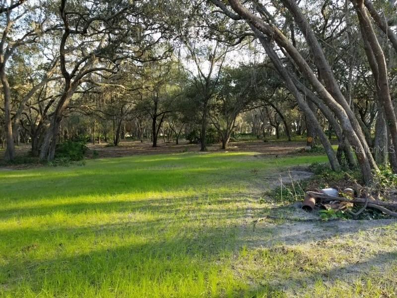 3162 Bright Lake Cir., Groveland, FL 34736