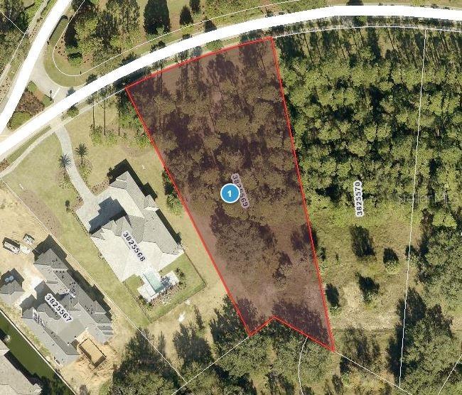 15512 Pendio Dr., Montverde, FL 34756