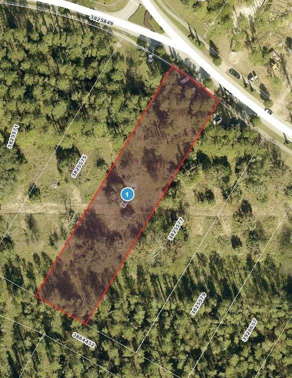 15528 Pendio Dr., Montverde, FL 34756