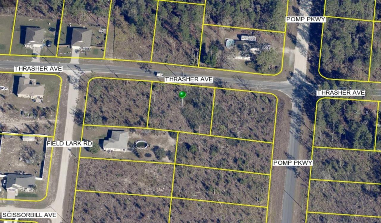 13101 Thrasher Ave., Weeki Wachee, FL 34614