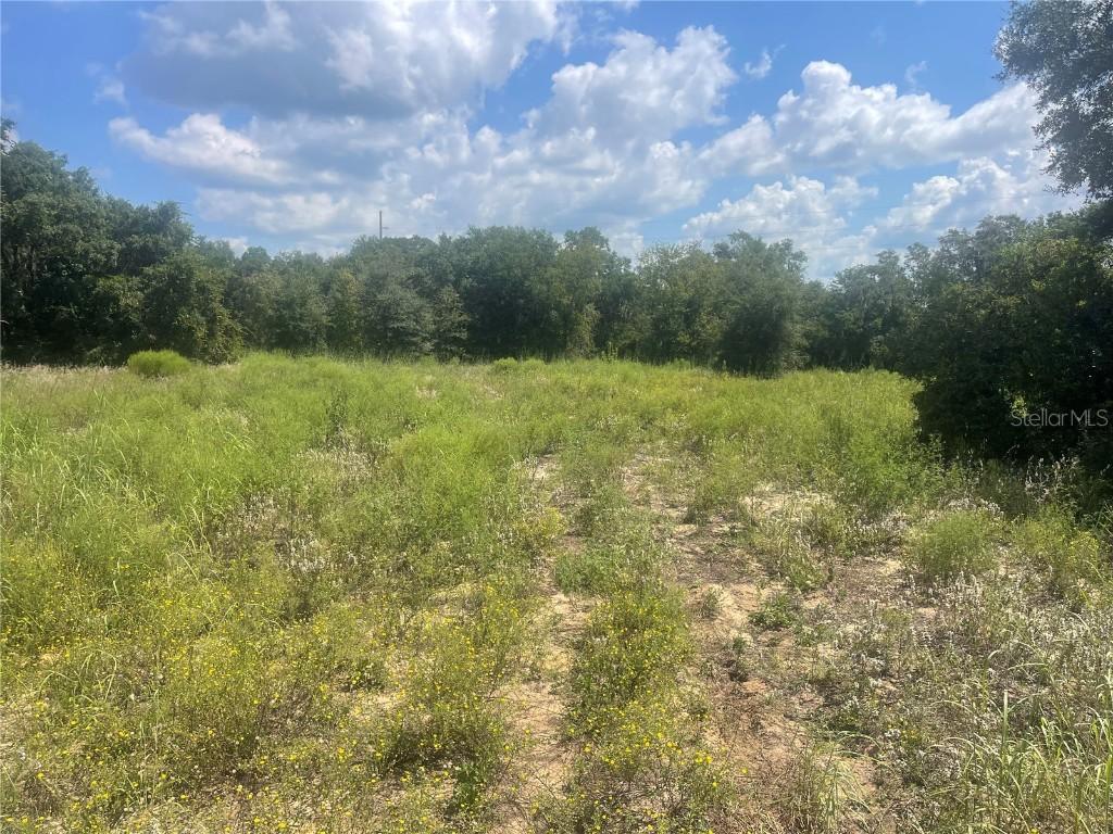 TBD Keene Rd., Umatilla, FL 32784