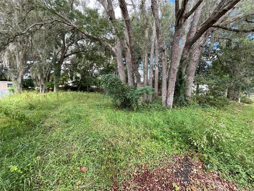 SE 99 Ter., Summerfield, FL 34491