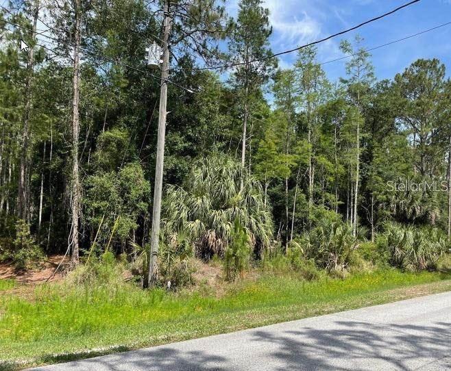 Thunderhead Street, Wesley Chapel, FL 33544