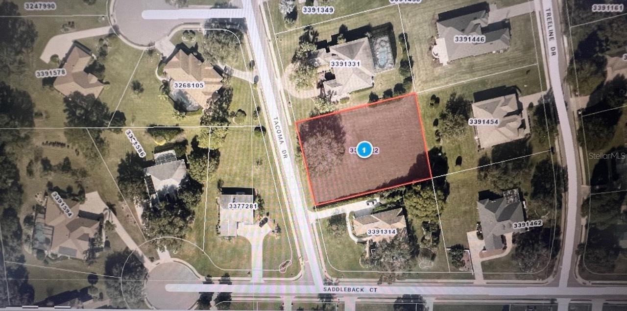 Tacoma Dr., Lady Lake, FL 32159
