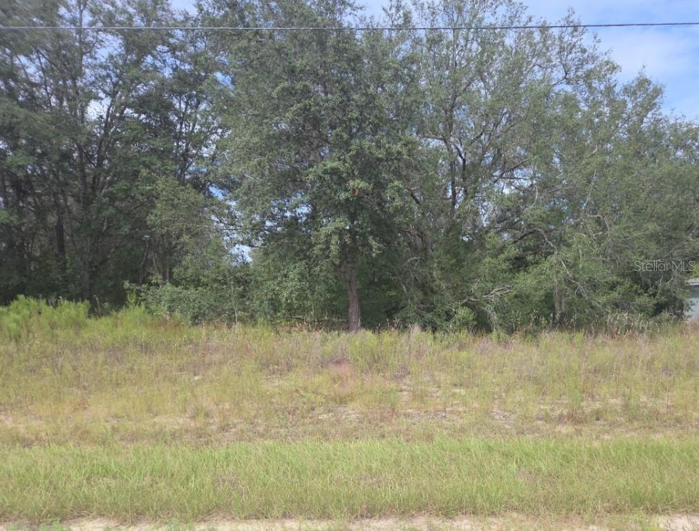 823 E Dellbrook Ln., Dunnellon, FL 34434