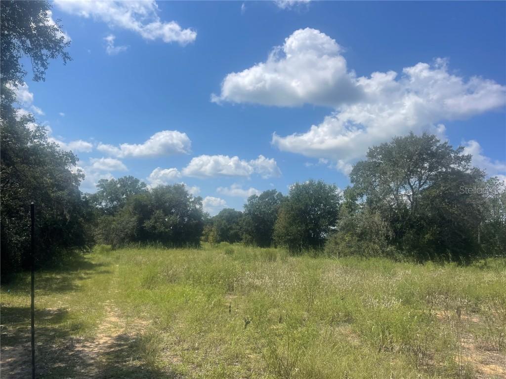 TBD Keene Rd., Umatilla, FL 32784