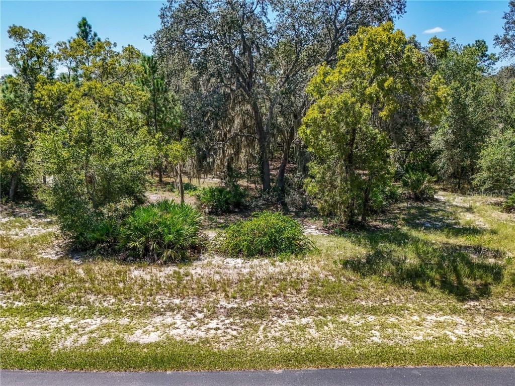 3134 Bright Lake Cir., Leesburg, FL 34748