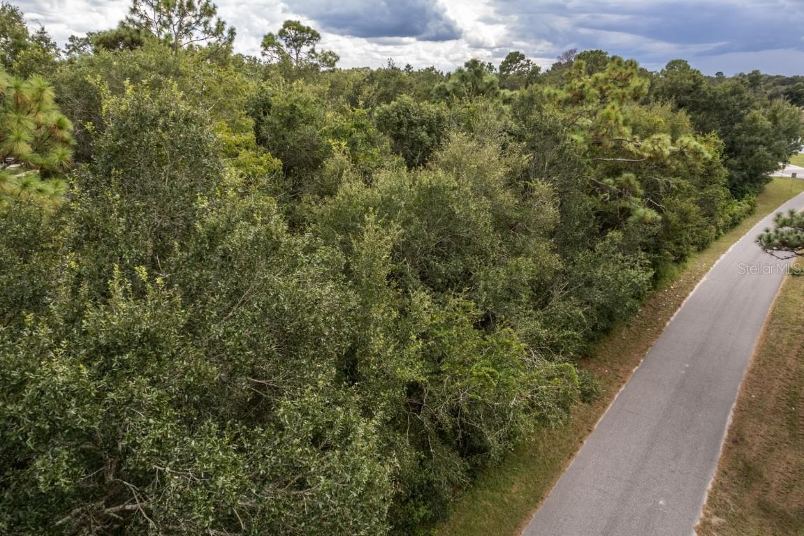 Interlachen Dr., Mount Plymouth, FL 32776