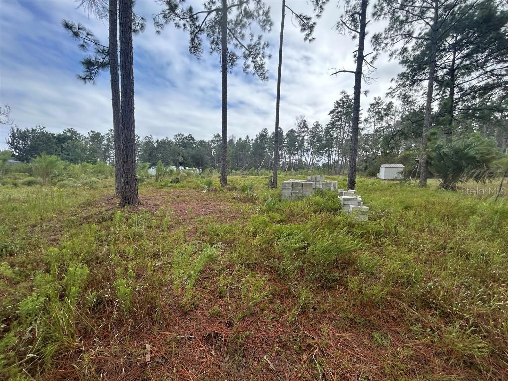 Tulip Ave., Eustis, FL 32736