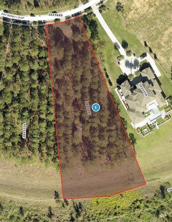 16830 Artimino Loop, Montverde, FL 34756