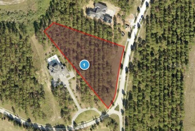 16216 Pendio Dr., Montverde, FL 34756
