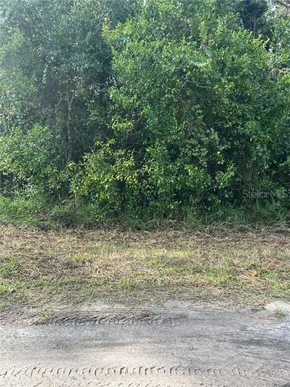 PT LTS 120-122 LK EUSTIS W Herrick Ave., Eustis, FL 32726