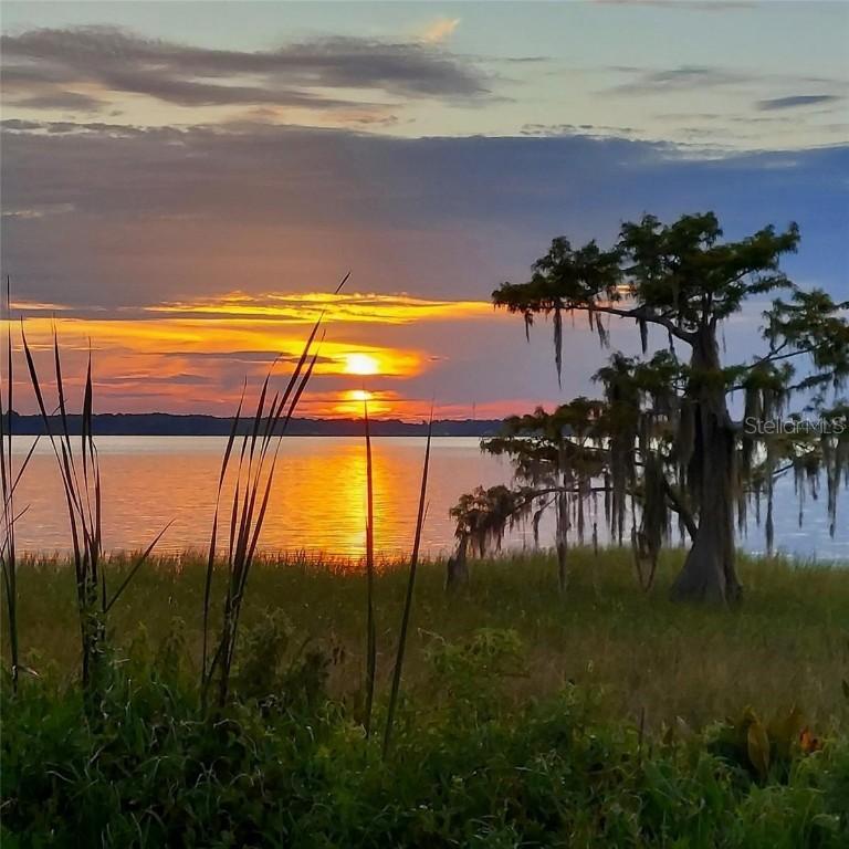 2225 Cypress Ct. #2C, Tavares, FL 32778