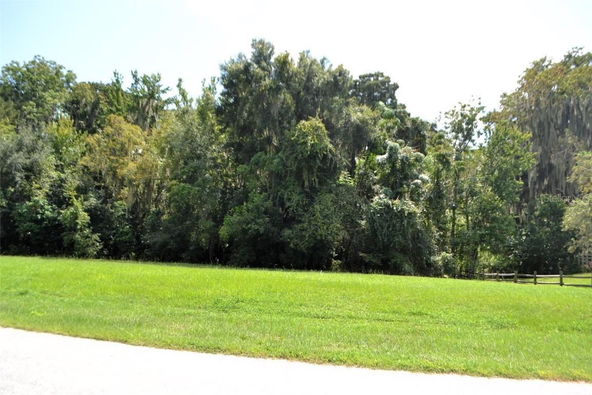 Redtree Dr., Leesburg, FL 34748