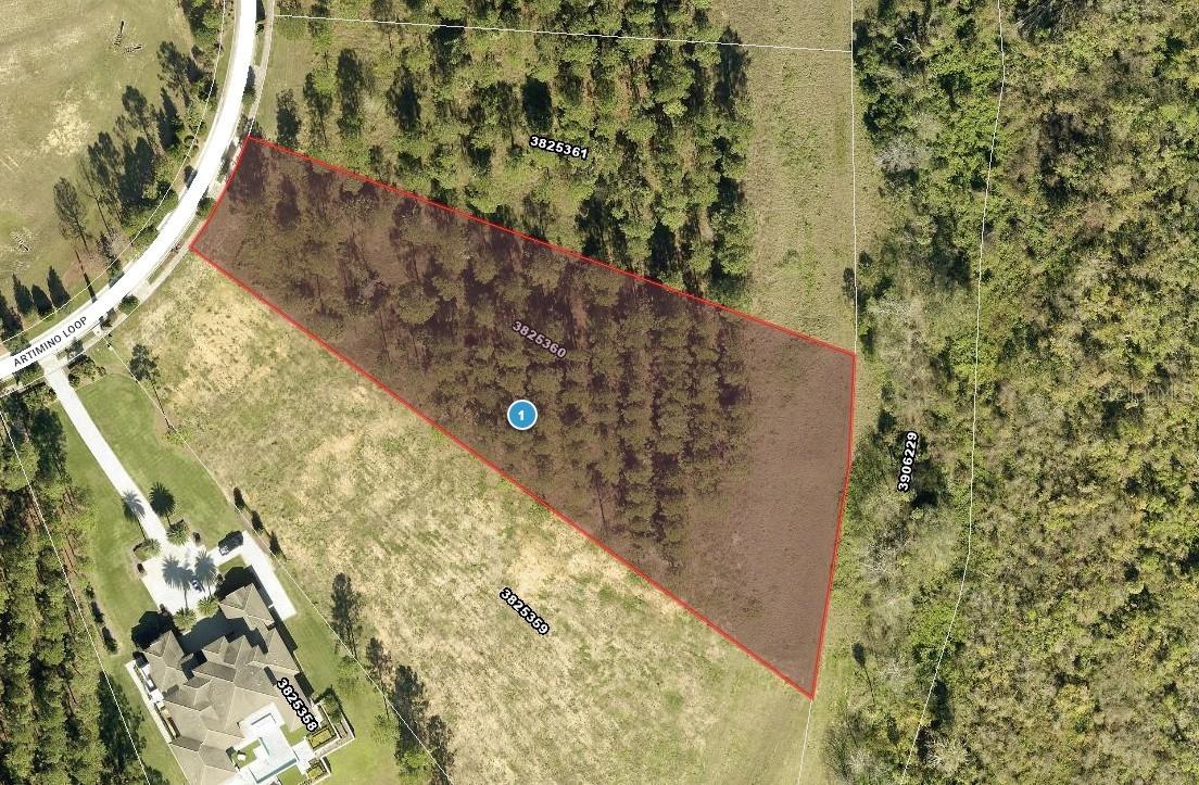 16842 Artimino Loop, Montverde, FL 34756