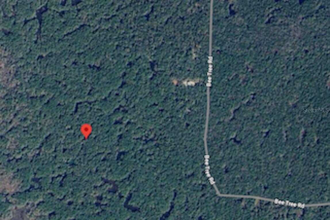 Tbd, Gulf Hammock, FL 32639