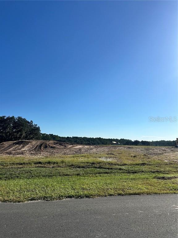 38404 Wooded Meadow Dr., Umatilla, FL 32784