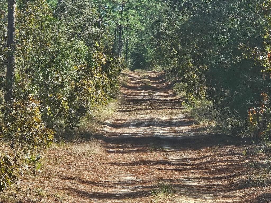 XXXX SW 92nd Pl., Dunnellon, FL 34432