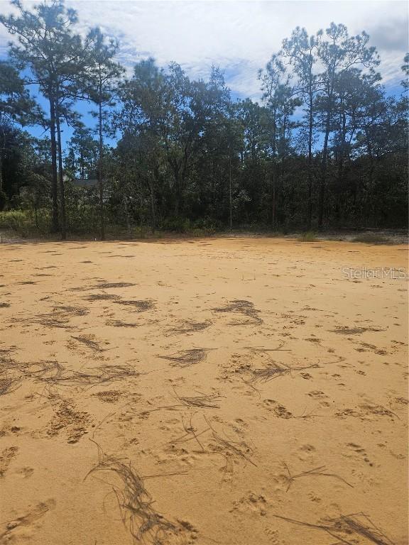 33216 Teakwood Dr., Webster, FL 33597