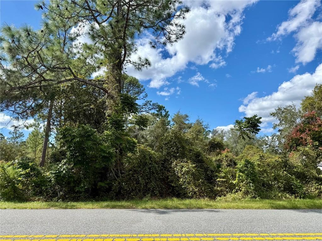 LOT 11 Royal Trails Rd., Eustis, FL 32726