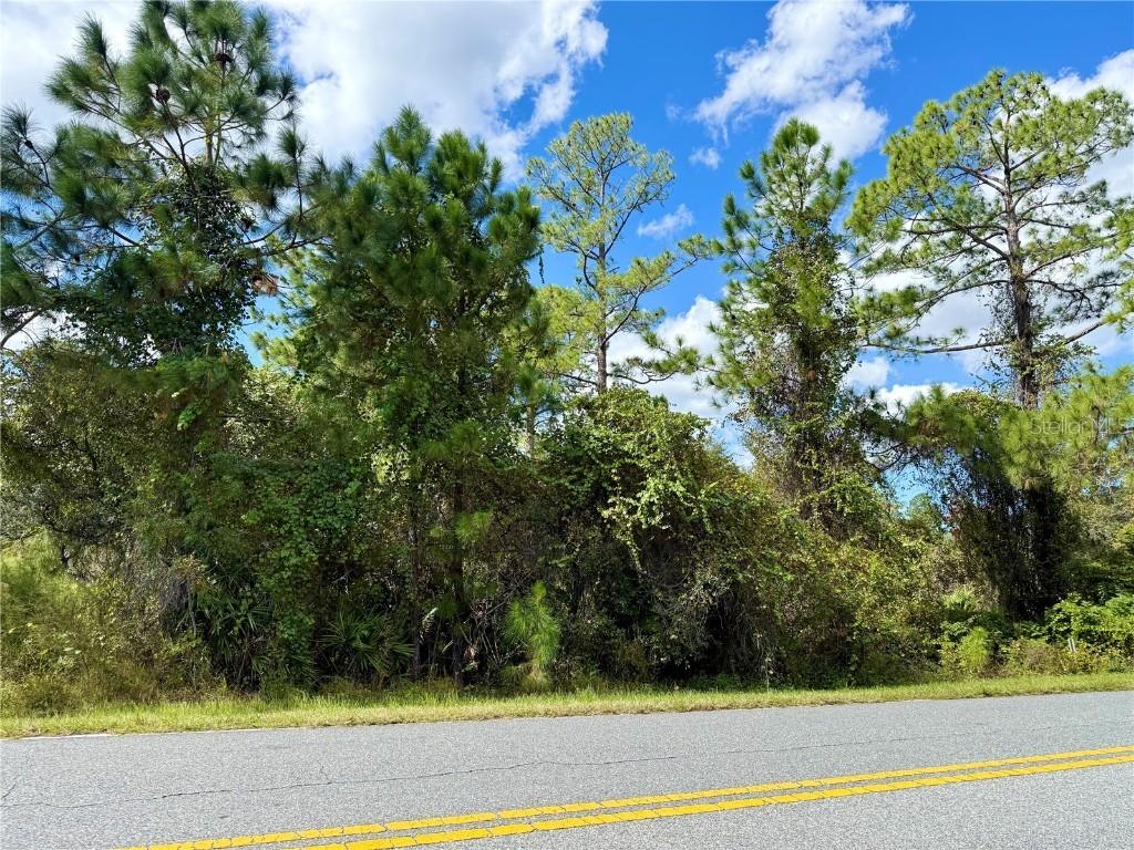 LOT 11 Royal Trails Rd., Eustis, FL 32736