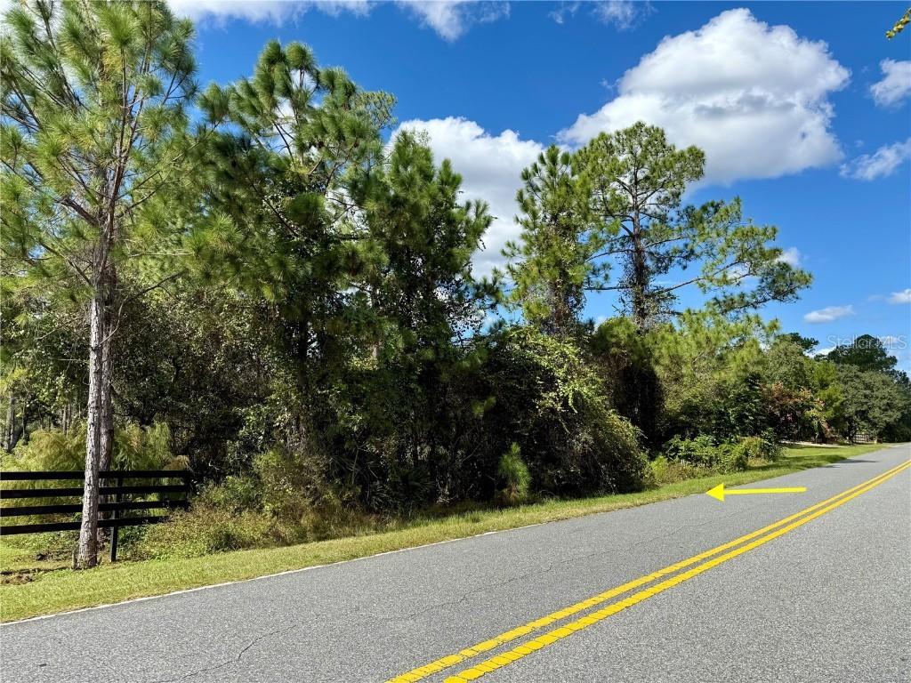 LOT 11 Royal Trails Rd., Eustis, FL 32736