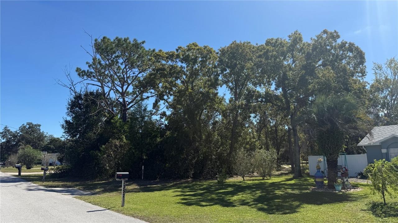 Larkin Rd, Spring Hill, FL 34608