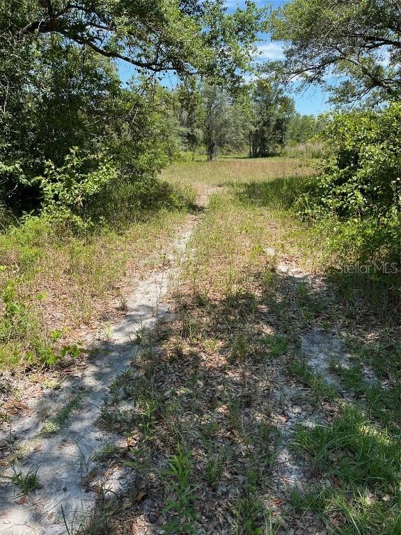 35139 Umbrella Rock Dr., Webster, FL 33597
