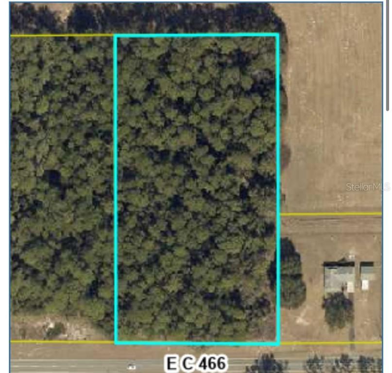 County Road 466, Oxford, FL 34484
