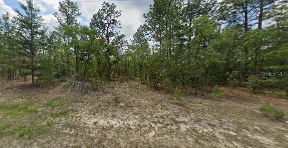 6657 N Waterman Dr., Dunnellon, FL 34433